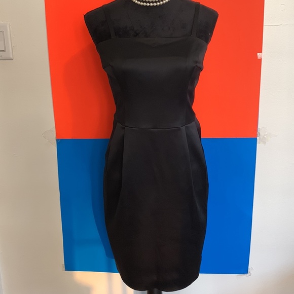 COPY - EXPRESS NEW Satin Dress - Picture 4 of 12